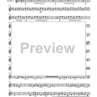 Circuite Suicus - Trumpet 4