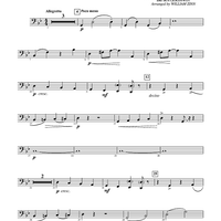 A Woman Is a Sometime Thing - String Bass