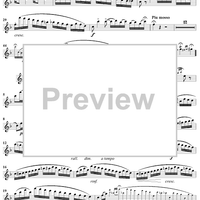 Divertissement sur un Theme de Donizetti    - op. 60 - Flute