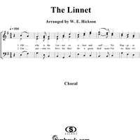 Linnet, The