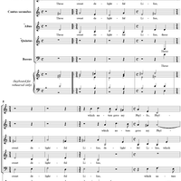 Those Sweet Delightful Lilies