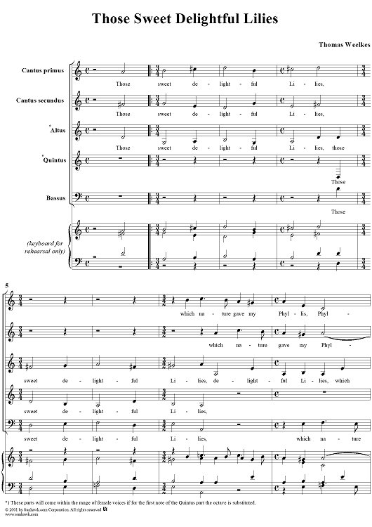 Those Sweet Delightful Lilies