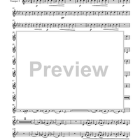 Circuite Suicus - Trumpet 5