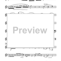 Harry Potter Symphonic Suite - Flute 2