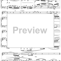 Wenn du zu den Blumen gehst, No. 6 from "Spanisches Liederbuch" II