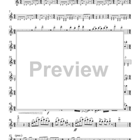 Sonata for Flute and Piano - Flute