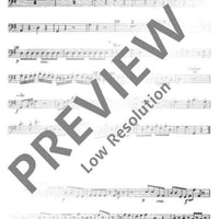 Concerto G Major - Violoncello/double Bass Rip.