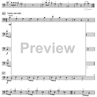 Harry's Wondrous World