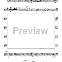 Concerto in Sol - Flute