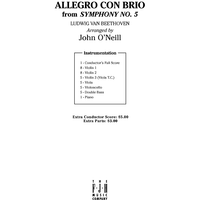 Allegro Con Brio - Score