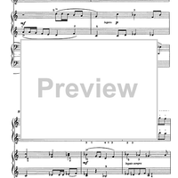 Sonatina in due tempi