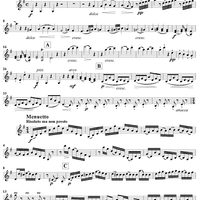 Serenata No. 3 in G Major - Violin 2