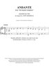 Andante