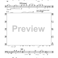 Harry Potter Symphonic Suite - Baritone in B-flat BC