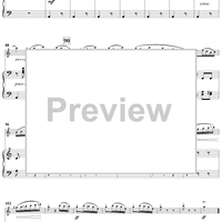 Oiseaux De Passage (Birds of Passage)