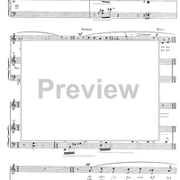 Plugeta lleu - Score