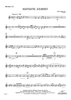 Fantastic Journey - Baritone TC