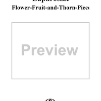 Flower-Fruit-and-Thorn-Pieces (Blumen-Frucht-und-Dornstücke), op. 82 - No. 17. Euphrosine
