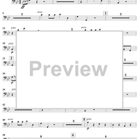 Le carnaval des animaux - Bass