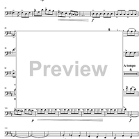 Argentinian Rhapsody - Bassoon