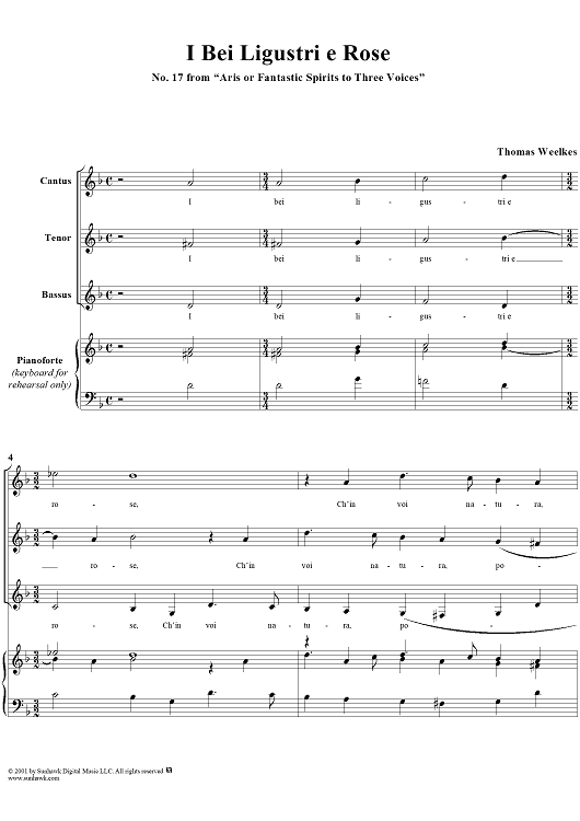 I Bei Ligustri e Rose