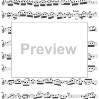 "Betörte Welt", Aria, No. 4 from Cantata No. 94: "Was frag' ich nach der Welt" - Flute