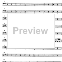 Maghen David - Timpani