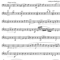 String Quintet c minor Op.104 - Cello