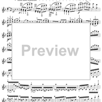 Twenty-Four Caprices: Nos. 13 - 24