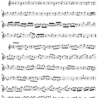 Sonata No. 6 in D Minor - Flute