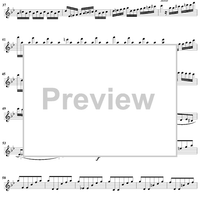 The Four Seasons, No. 2: Summer - Solo Violin