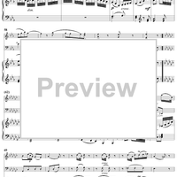 Piano Trio in E-flat Minor, HobXV/31 - Piano Score