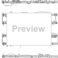 Temps de Lluna - Score