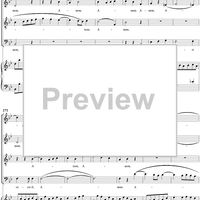 Mass No. 9 (Sancti Bernardi) in B-flat Major, "Heiligmesse": No. 3. Credo