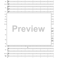 Harry Potter Symphonic Suite - Score