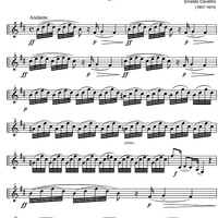 Capriccio No.21 b minor