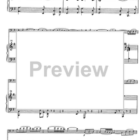 Suite andaluza - Score