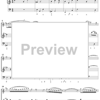 Violin Sonata No. 3 - Piano Score