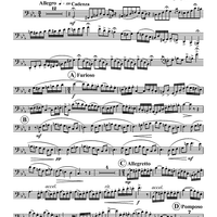 The Southern Cross - Tuba