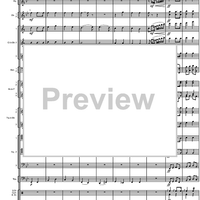 Final Galop from the Guard of Amager - Score