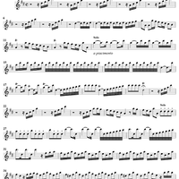 Flute Concerto in D Major ("Il Gardellino"), op. 10, no. 3 - Flute