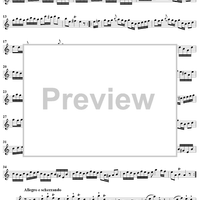 Sonata No. 17 in A Minor - Flute