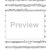 Double Concerto for Recorder and Flute in E minor - Viola