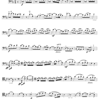 Allegro Appassionato, op. 43 - Cello