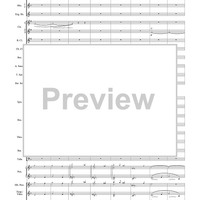 Harry Potter Symphonic Suite - Score