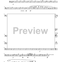 A Suite For Clowns - Euphonium