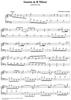 Sonata in B minor - K498/P367/L350