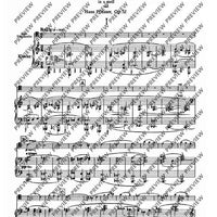 Konzert a-Moll - Score and Parts