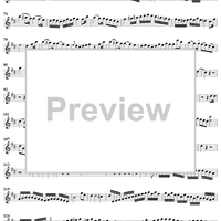 Sonata No. 1 in D major - Flute