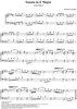 Sonata in E major - K163/P206/L63
